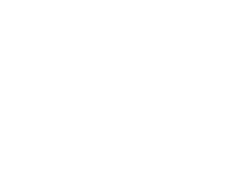 Canvas Logo